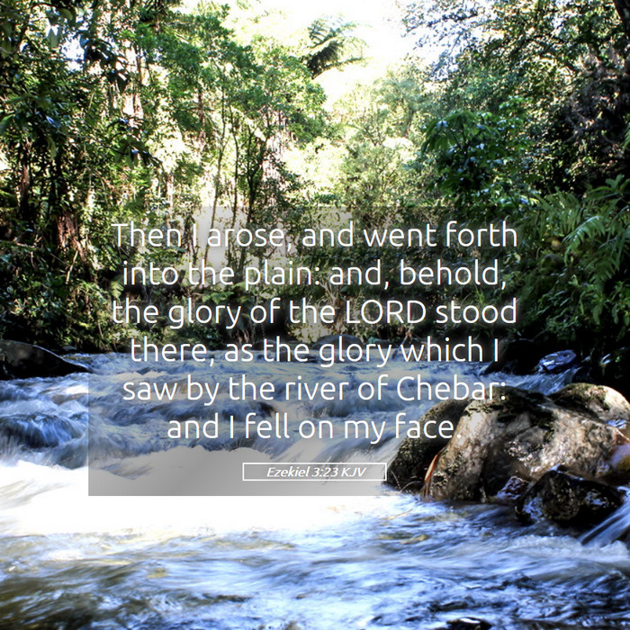 Ezekiel 3:23 KJV Bible Study