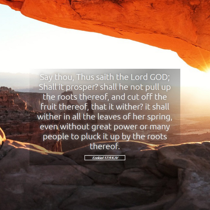 Ezekiel 17:9 KJV Bible Study
