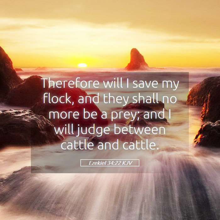 Ezekiel 34:22 KJV Bible Study