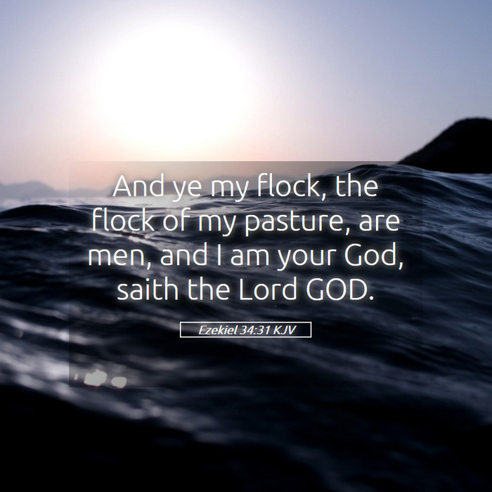 Ezekiel 34:31 KJV Bible Study