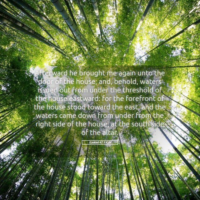 Ezekiel 47:1 KJV Bible Study