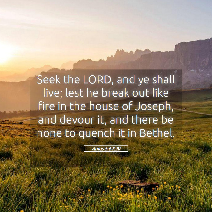 Amos 5:6 KJV Bible Study