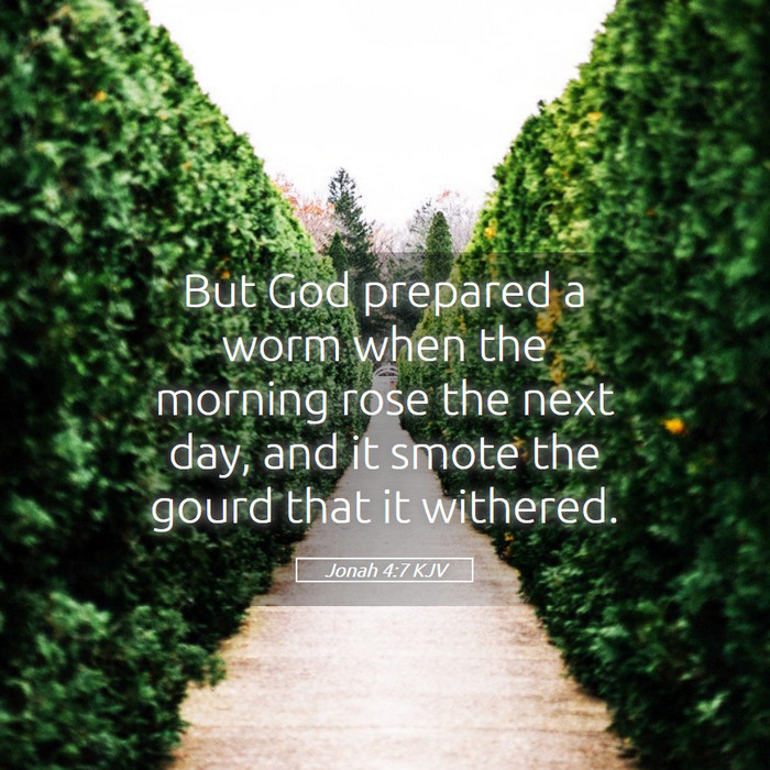 Jonah 4:7 KJV Bible Study