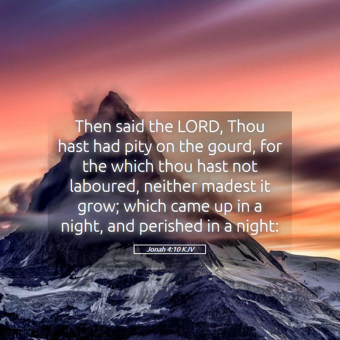 Jonah 4:10 KJV Bible Study