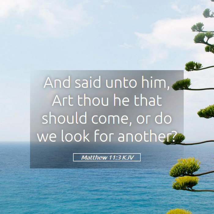 Matthew 11:3 KJV Bible Study