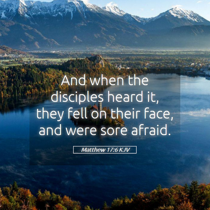 Matthew 17:6 KJV Bible Study