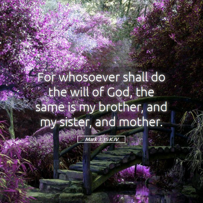 Mark 3:35 KJV Bible Study