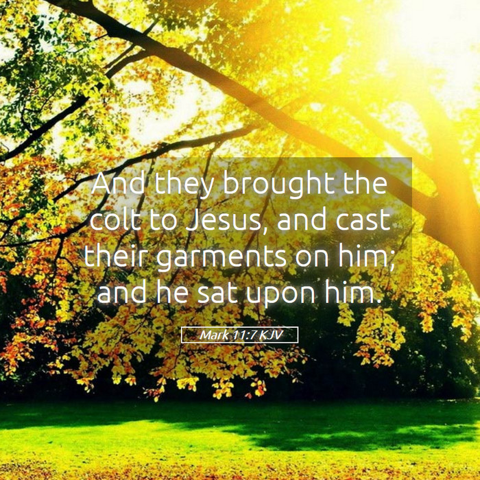 Mark 11:7 KJV Bible Study