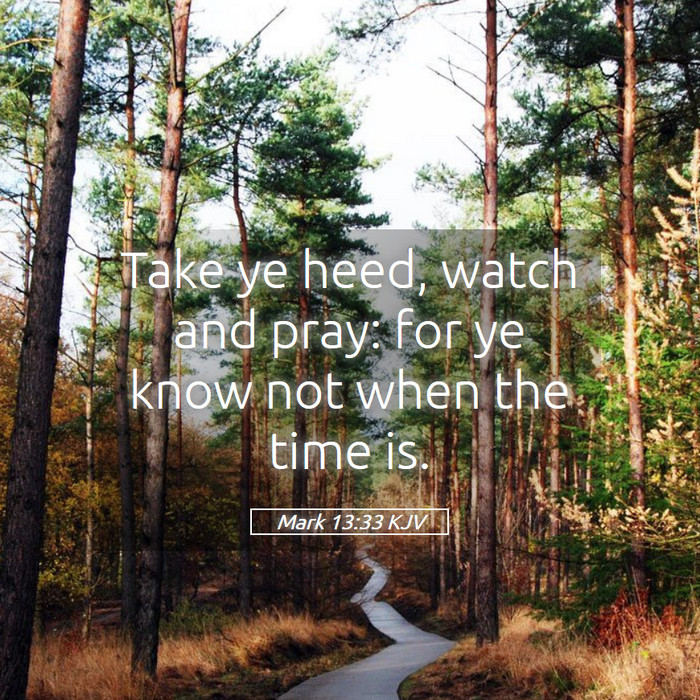 Mark 13:33 KJV Bible Study