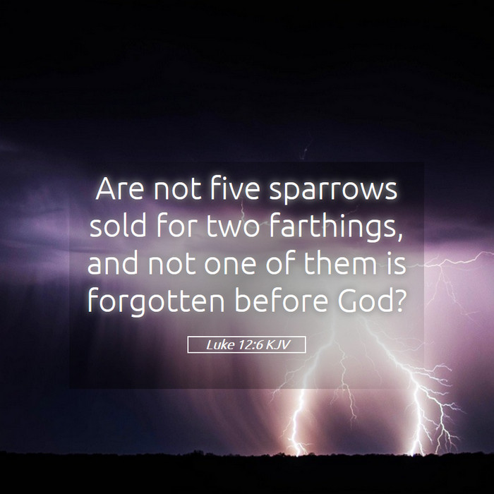 Luke 12:6 KJV Bible Study
