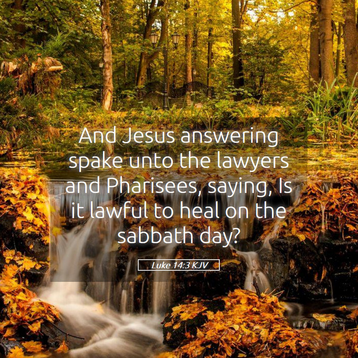 Luke 14:3 KJV Bible Study