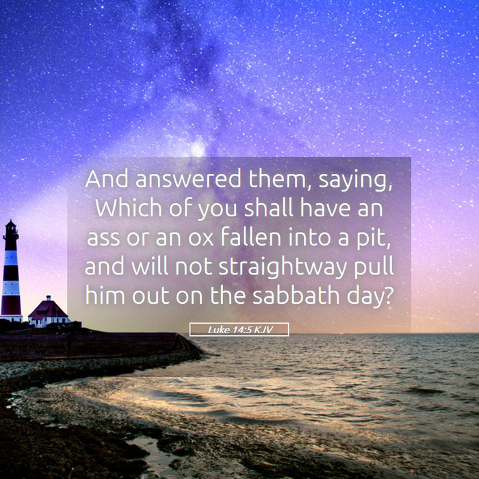 Luke 14:5 KJV Bible Study