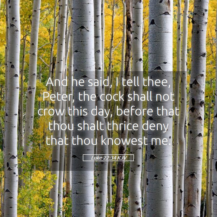 Luke 22:34 KJV Bible Study