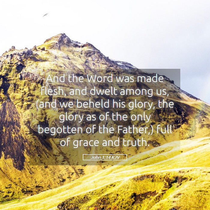 John 1:14 KJV Bible Study