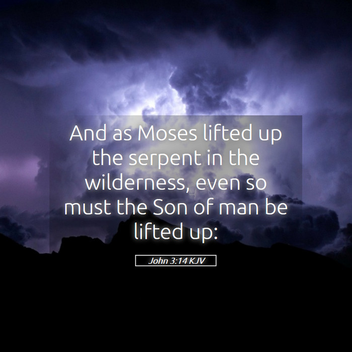 John 3:14 KJV Bible Study