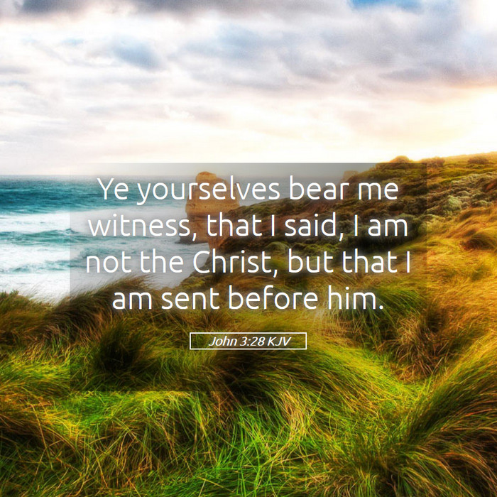 John 3:28 KJV Bible Study