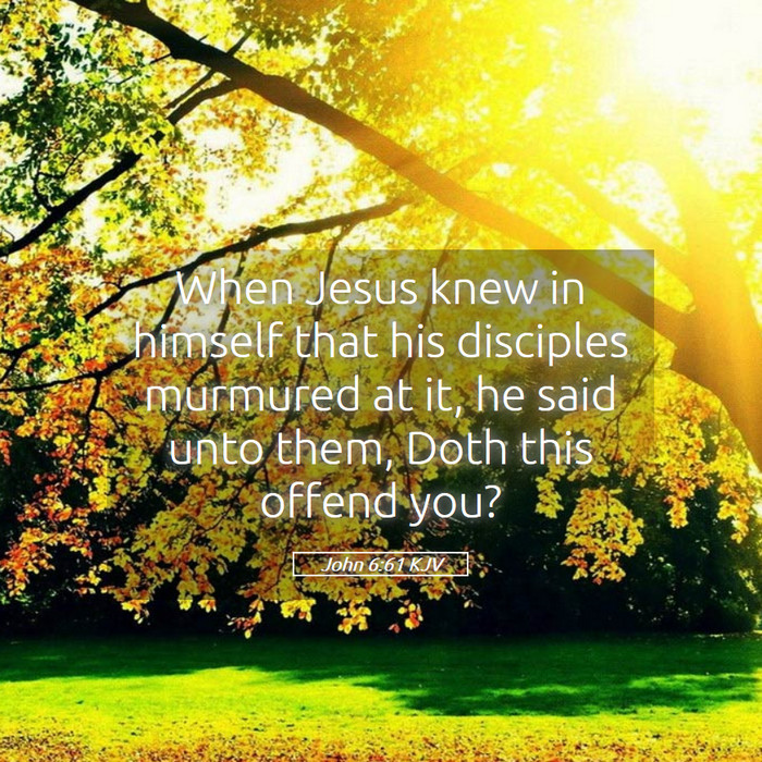 John 6:61 KJV Bible Study