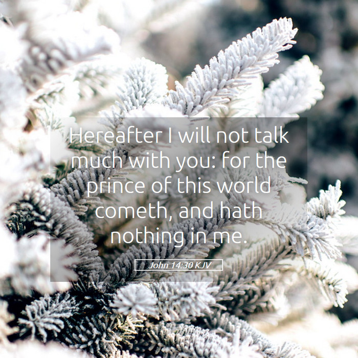John 14:30 KJV Bible Study
