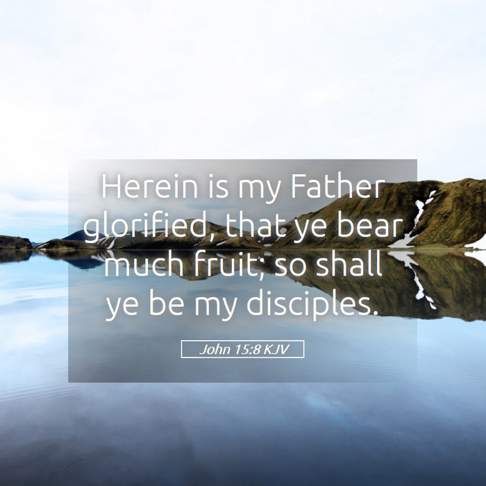 John 15:8 KJV Bible Study