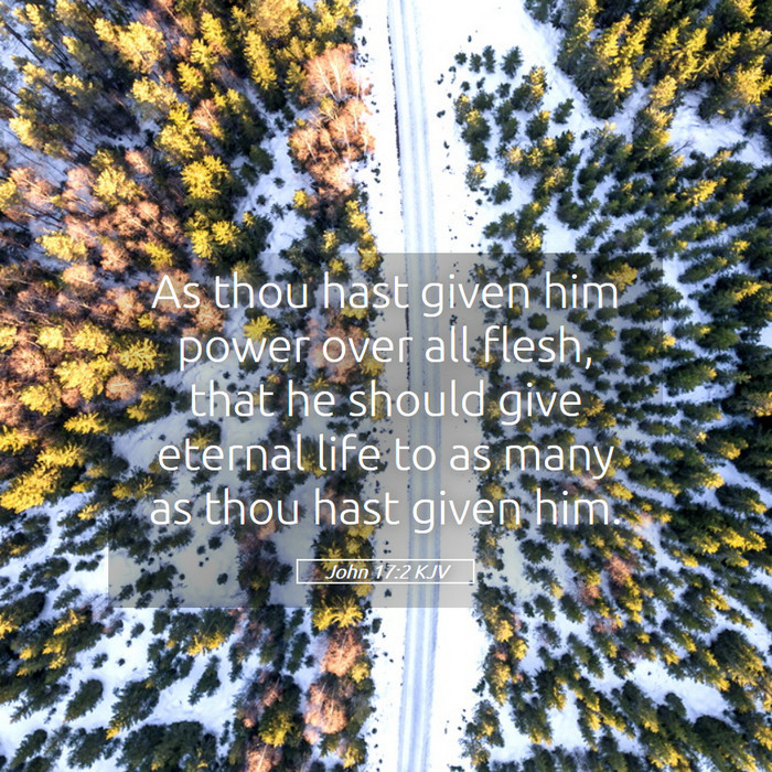 John 17:2 KJV Bible Study