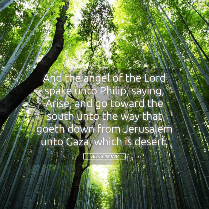 Acts 8:26 KJV Bible Study