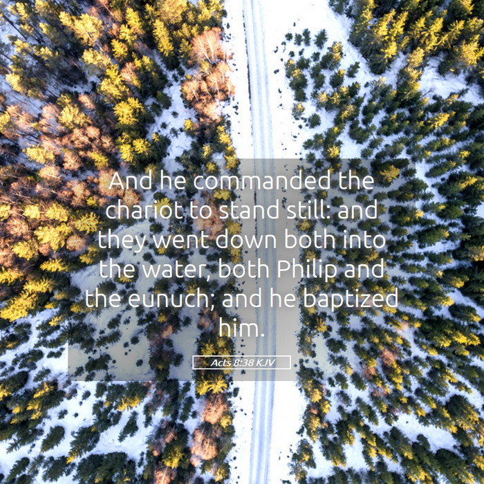 Acts 8:38 KJV Bible Study