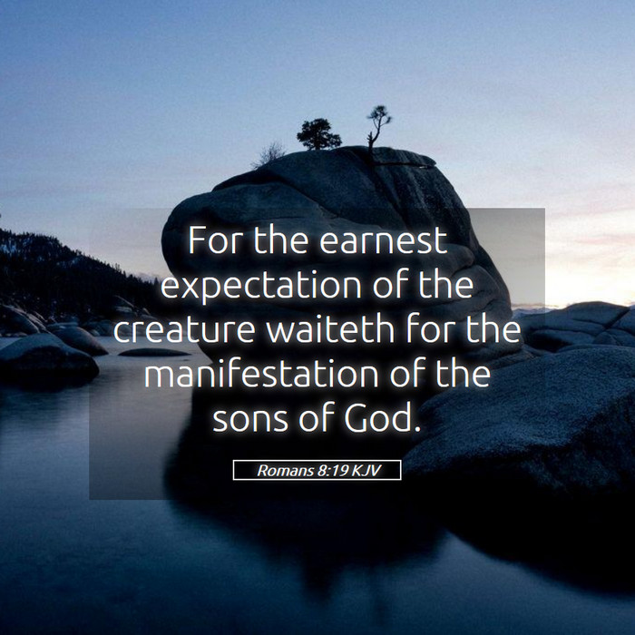 Romans 8:19 KJV Bible Study