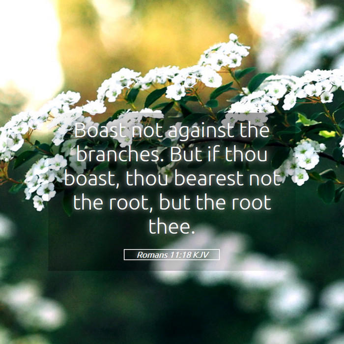 Romans 11:18 KJV Bible Study