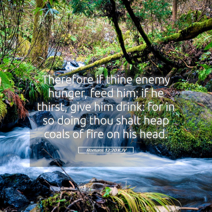 Romans 12:20 KJV Bible Study