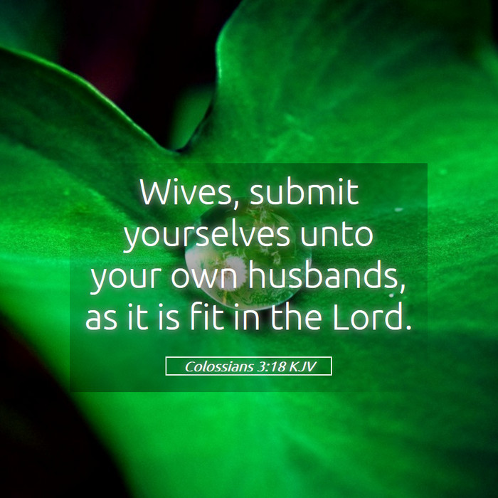 Colossians 3:18 KJV Bible Study