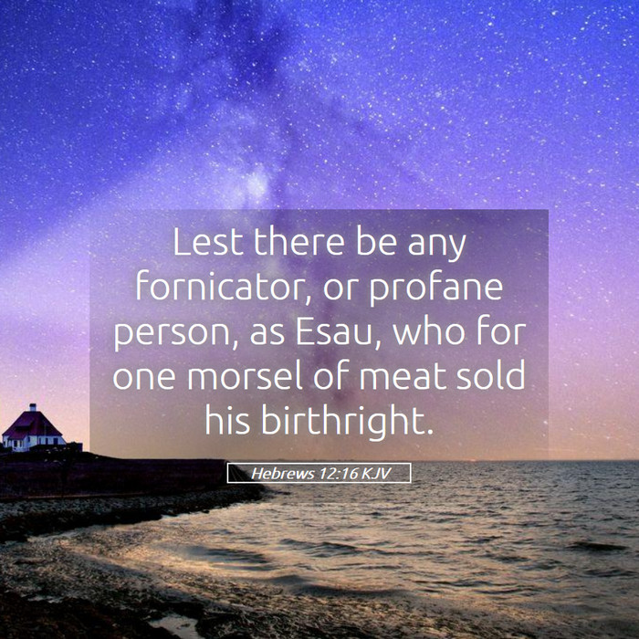 Hebrews 12:16 KJV Bible Study