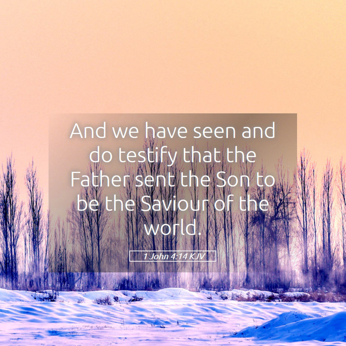 1 John 4:14 KJV Bible Study